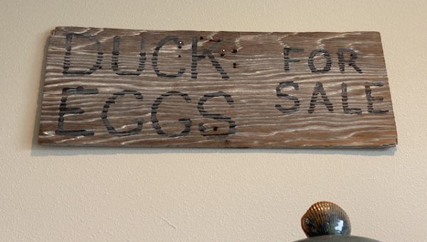 There’s a Story There: Duck Eggs