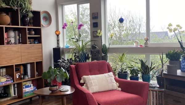 The Plant Lady
